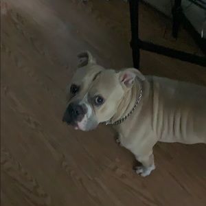 Meet your Posher, Tim